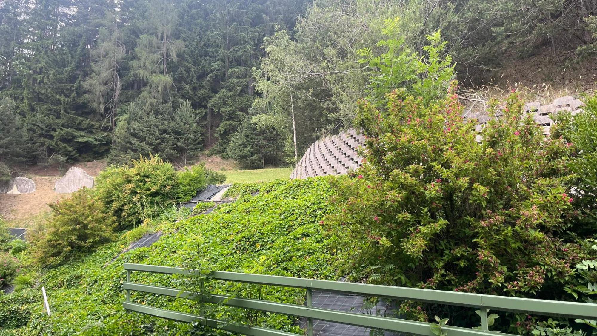 Hotel Saxl Campo di Trens Eksteriør bilde